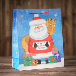 Цена за 12 шт. Пакет подарочный «Письмо от Деда Мороза», 26×32×12 см