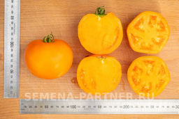Томат Сувенир - Партнер фото 6