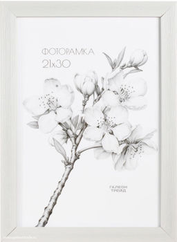Фоторамка 21x30 / 2009C-012A /