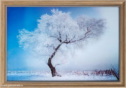 Картина 5D 40х60 097 Мороз / ZR8843B-339350 /