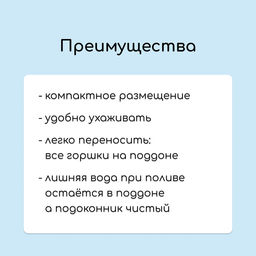 Набор для рассады: стаканы по 250 мл (6 шт.), ящик 25×16 см, МИКС