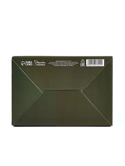 Подарочная коробка, упаковка, С 23 февраля, 22?15?10 см