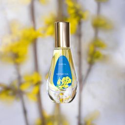 Dilis Мимоза духи 9,5 мл  фото 2