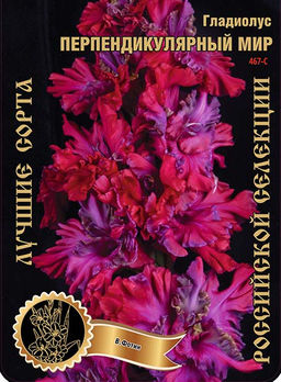 Гладиолус Перпендикулярный мир 467,Фотин Экстра 7шт (Ф)