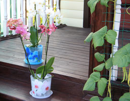 Кашпо ДЕКО 125мм 1,2 л, с поддоном арт.М3105