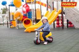 Мотоцикл Моторбайк - Полесье фото 8