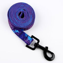 Набор MY SPACE, застёжка - фастекс, поводок 2 м и ошейник 28-46 см - Пушистое счастье фото 3