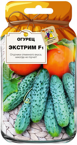Огурец ЭКСТРИМ F1 Толерантен к температурным стрессам! Вкусовые качества великолепные! Хорош для засола и консервирования! - Уральский дачник фото 3