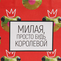 Пакет подарочный Королева, 22 х 22 х 11 см - Дарите счастье фото 4