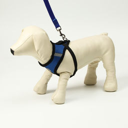 Комплект амуниции с мягкой шлейкой и светоотражающей нашивкой, XL, ОШ 40 см, ОГ 46-60 см, синий 761 - Пижон фото 2