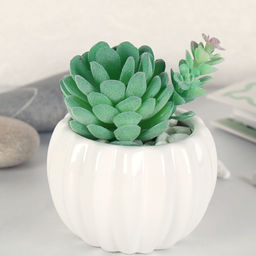 Суккулент искусственный 2,5х9 см / GN113 /уп 100/ - Галеонтрейд фото 3