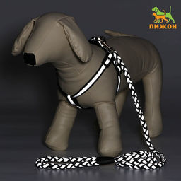 Комплект Плетенка, флуоресцентный, поводок 115 х 1 см, ОГ 32-48 х 1,5 см, чёрный