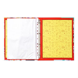 Папка школьная на кольцах «Портфолио школьника», 10 листов-разделителей, 24.5×32 см