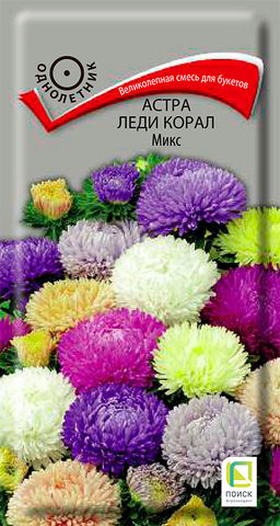 Астра (однолетняя) Леди Корал Микс (ЦВ) (1) 0,1гр. - Поиск фото 2