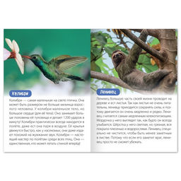 Обучающая книга Животные Южной Америки, 20 стр. - Буква-ленд фото 2