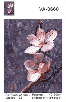 Картина по номерам на холсте и подрамнике 40х50 см