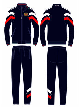 Спортивный костюм мужской RUSSIA 10M-RT-1842