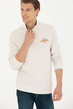 Мужская толстовка с камнем