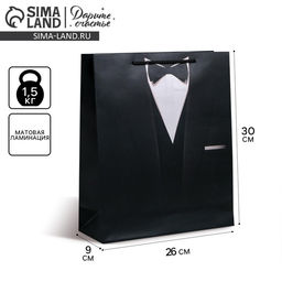 Цена за 2 шт. Пакет подарочный ламинированный, упаковка, «Стиль», M 25.5 х 30 х 9 см