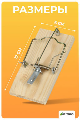 Цена за 2 шт. Крысоловка, 6 × 12 см, деревянная, Greengo