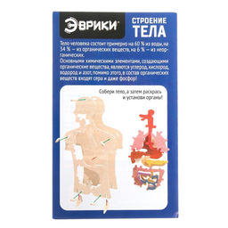 Набор для опытов Строение тела, 24 элемента - Эврики фото 5