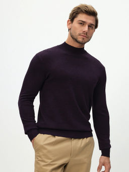 Джемпер мужской GREG G122-CT 180194 (фиолет)