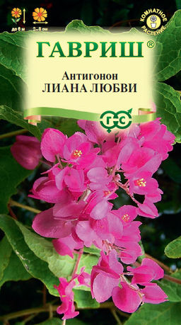 Антигонон Лиана любви 5 шт.