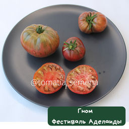 Гном Фестиваль Аделаиды - Tomatia фото 2