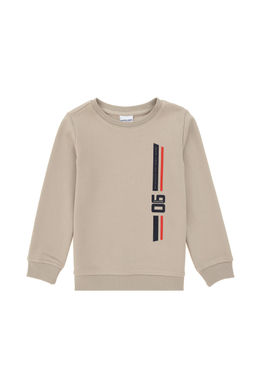 Толстовка с камнем для мальчика Неожиданная скидка в корзине - U.s. polo assn фото 2