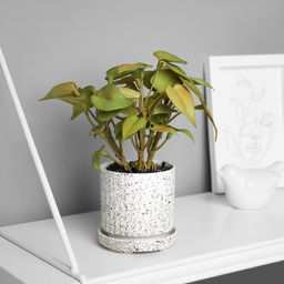 Искусственный цветок в горшке Сингониум премиум (мягкий лист), 15?7 см, МИКС