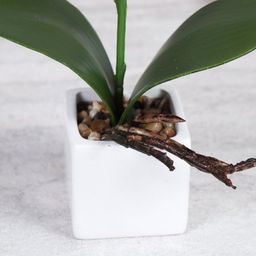 Цветочная композиция Орхидея 30 см / LM-17105 /уп 144/ - Галеонтрейд фото 5