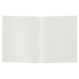 Комплект тетрадей из 5 штук (4 разные + 1 повторяющаяся), 48 листов в линию Calligrata «Мегаполис», обложка мелованная бумага, блок №2, белизна 75% (серые листы)