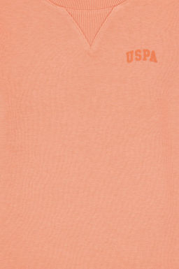 Базовый свитшот Salmon для мальчиков Неожиданная скидка в корзине - U.s. polo assn фото 3