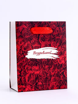 Цена за 2 шт. Пакет подарочный вертикальный Поздравляю, S 12?15?5.5 см