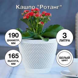 Кашпо Ротанг (3,0л) Цв. Белый/черный (Арт. КШ-7954)