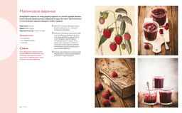 Подарочный набор Сладкое искушение. Большая коллекция гурмана (Домашнее варенье, Домашняя выпечка, Домашние сыры и йогурты книги из серии Дом. Пастье М., Блен А., Друэ В.,... - Колибри фото 4