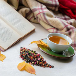 Арбузный слон . Зеленый Ароматизированный