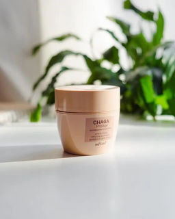 Chaga.ProAge Крем-Уход против морщин дневной для лица, 50 мл