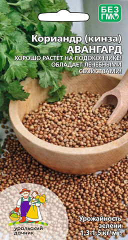 Кориандр (Кинза) АВАНГАРД  Обладает пряным ароматом и лечебными свойствами! Сорт густообильнолиственный, кустики компактные, тёмно-зелёные!