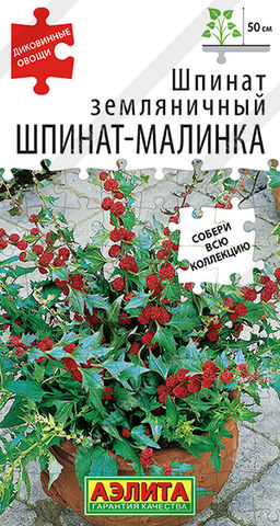 Шпинат земляничный Шпинат-малинка (2027)