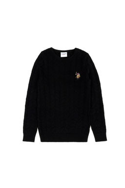 U. S. Polo Assn / Черный базовый свитер с круглым вырезом для мальчика - U.s. polo assn фото 7