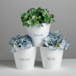 Набор кашпо 3 в 1 Please grow, 0.8 л, 11×12 см