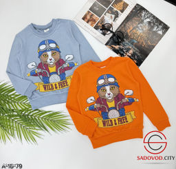 Кофта для мальчика, хлопок - Bruno фото 12