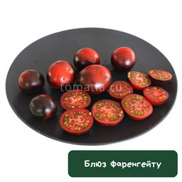 Блюз Фаренгейту