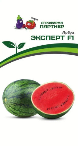 Арбуз Эксперт