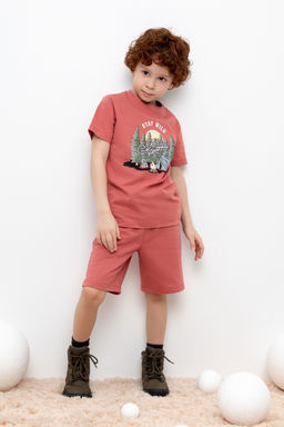 КР 400604/пыльный кедр к428, шорты