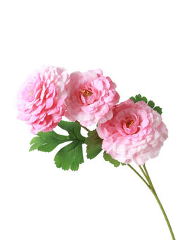 Цветы искусственные "Хризантема волнистая галант" d-8 см 58 см, розовый