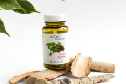 БАД в монобрикетах Кора осины Алфит 4013  фото 3