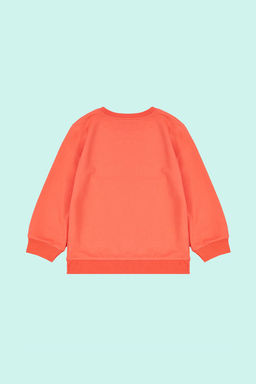 Ac?k Turuncu K?z Cocuk Mevsimlik-Ince Kelebek Desenli Orme Bisiklet Yaka Sweatshirt TKDAW25SW00001