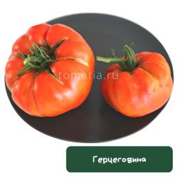 Герцеговина